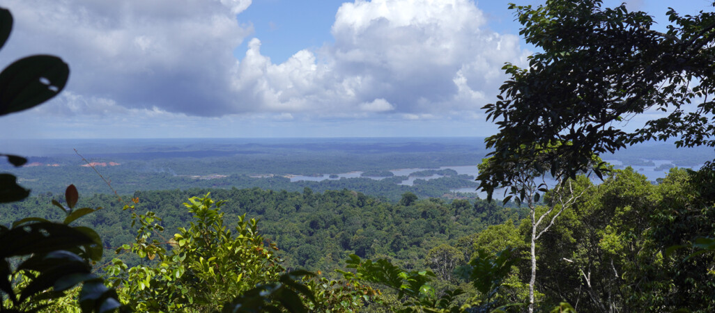 Na obrzeżach Ameryki Południowej: Gujany i Surinam