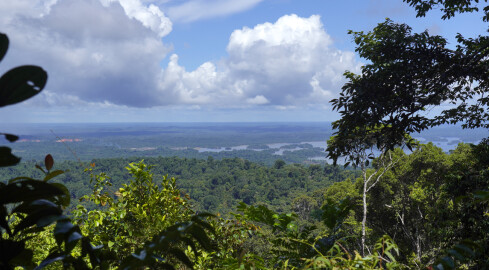 Na obrzeżach Ameryki Południowej: Gujany i Surinam - grafika