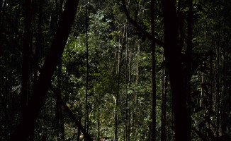 Na obrzeżach Ameryki Południowej: Gujany i Surinam