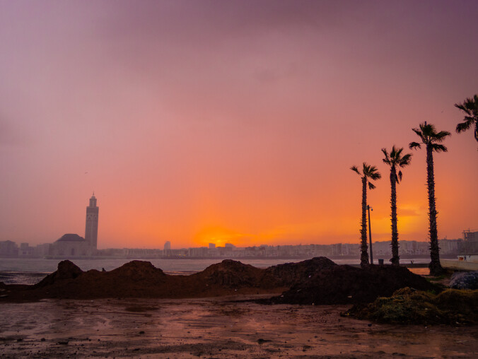 Maroko - Casablanka i Fez oraz arganowe drzewa  - grafika