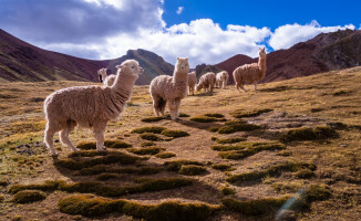 Magiczne Andy. Góry Tęczowe i kanion Colca w Peru 