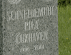 Co z miastem partnerskim Cuxhaven? - grafika