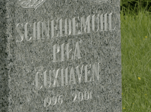 Co z miastem partnerskim Cuxhaven? - grafika