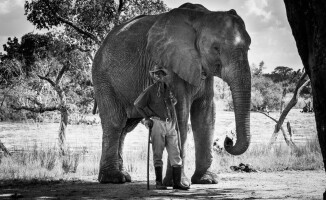 Wodospady Wiktorii. Jeden z 7 naturalnych cudów świata - VIDEO