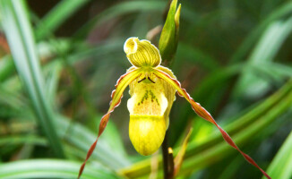 Sympatyczni mieszkańcy państwa na równiku: Ekwador