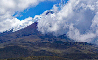 Sympatyczni mieszkańcy państwa na równiku: Ekwador
