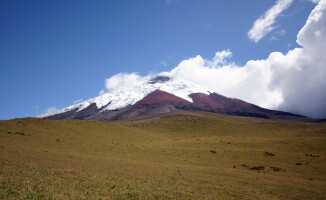 Sympatyczni mieszkańcy państwa na równiku: Ekwador