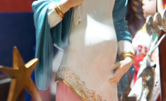 Sympatyczni mieszkańcy państwa na równiku: Ekwador