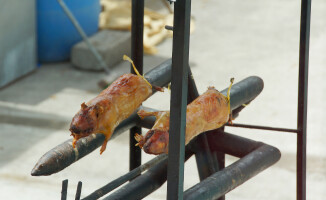 Sympatyczni mieszkańcy państwa na równiku: Ekwador