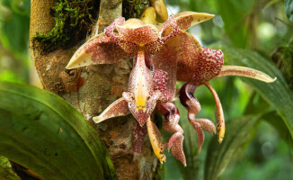 Sympatyczni mieszkańcy państwa na równiku: Ekwador