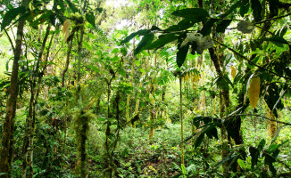 Sympatyczni mieszkańcy państwa na równiku: Ekwador