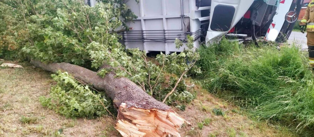 Burza dała o sobie znać w całym regionie. Trwa usuwanie skutków