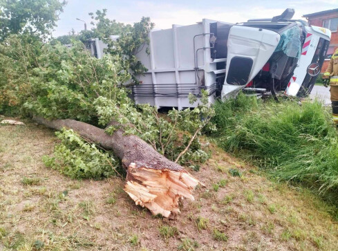 Burza dała o sobie znać w całym regionie. Trwa usuwanie skutków - grafika