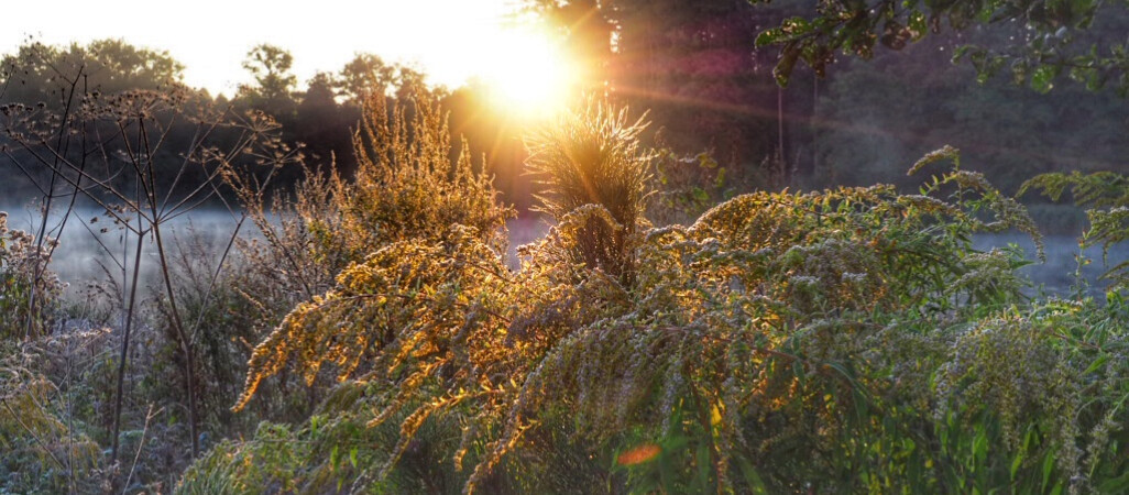 Tej nocy Piła była drugim najzimniejszym miastem w Polsce