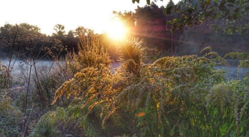 Tej nocy Piła była drugim najzimniejszym miastem w Polsce - grafika