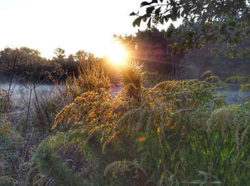 Tej nocy Piła była najzimniejszym miastem w Polsce - grafika
