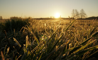 Wschód słońca w Czarnkowie nad Notecią - ZDJĘCIA 