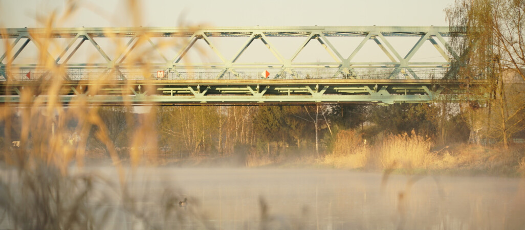 Czarnków w czasie epidemii - VIDEO 