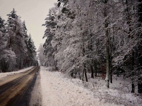 Zima w listopadzie  - grafika