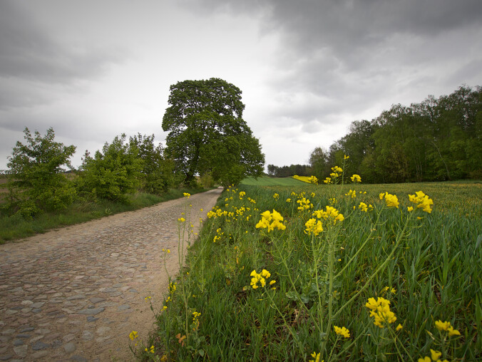 Od ekstremalnej suszy po zagrożenie powodziami - grafika