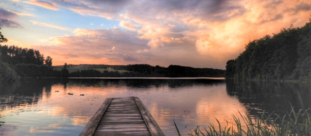 3,2 mln zł na wielkopolską wieś. 12 dotacji trafi do naszego regionu 