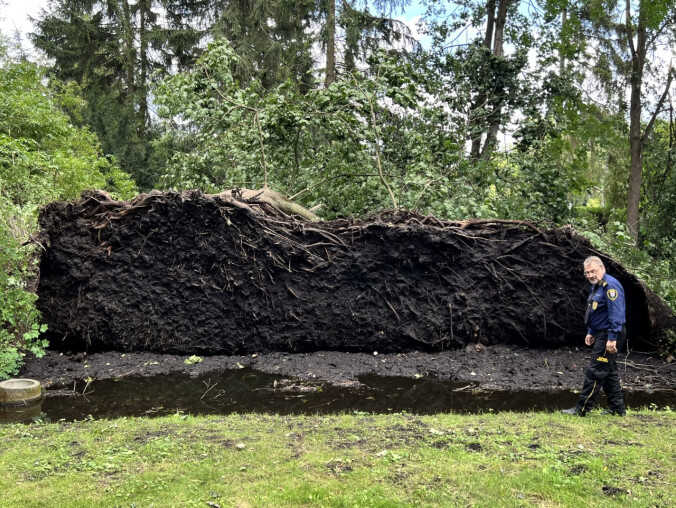 Krajobraz po nawałnicy w Pile  - grafika