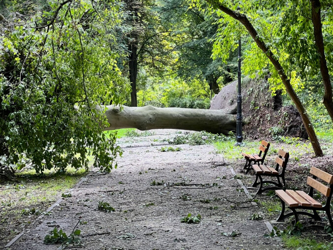 Burze, wichury, lokalnie grad i trąby powietrzne. IMGW alarmuje - grafika