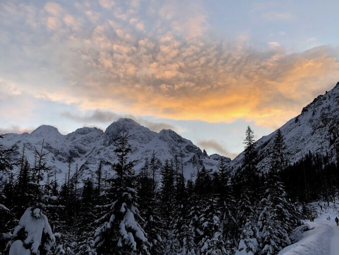 Wiosna w samym środku zimy. Takie obrazki tylko na południu - grafika