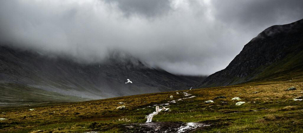 Prognoza pogody na pierwszy tydzień roku