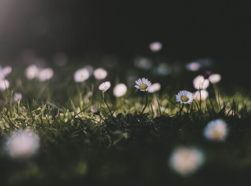 Pogoda na najbliższe 5 dni  - grafika