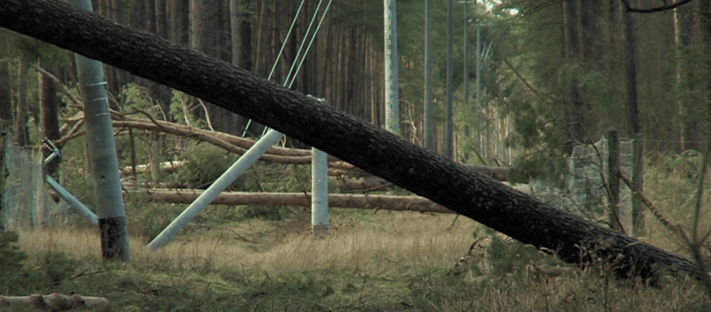 Na co mogą liczyć poszkodowani w nawałnicach? 