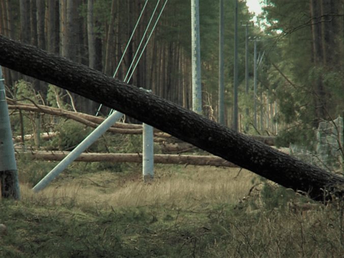 Na co mogą liczyć poszkodowani w nawałnicach?  - grafika