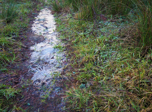 Temperatura w nocy może spadać nawet do -6 stopni - grafika