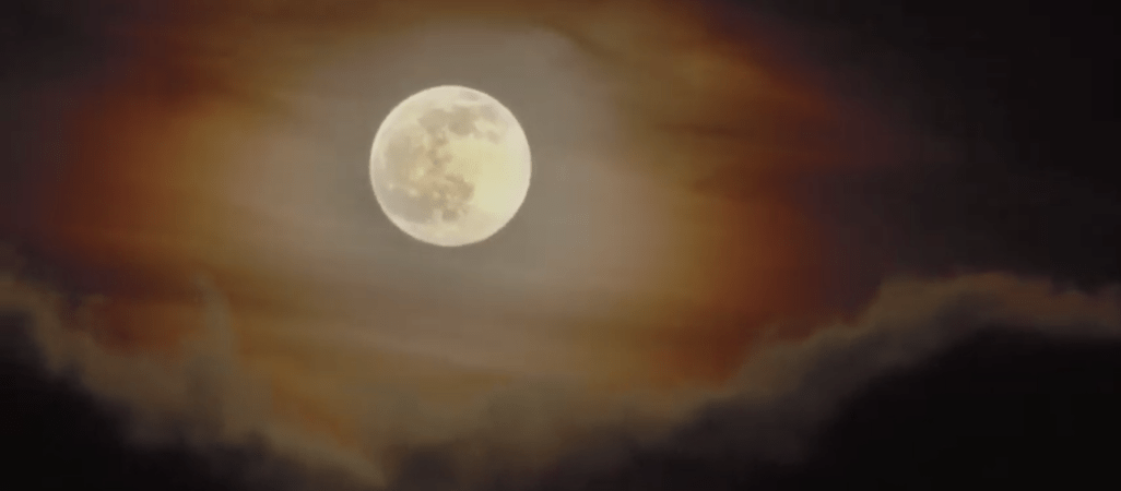 Wilczy Księżyc - VIDEO 