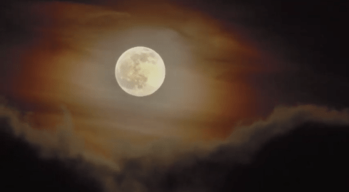 Wilczy Księżyc - VIDEO  - grafika