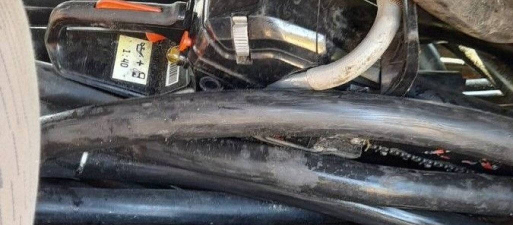 Złodzieje kabli złapani na gorącym uczynku