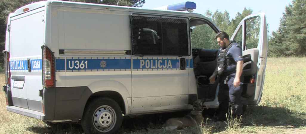 Razem się szkolą i razem służą. Policja szuka przewodników psów