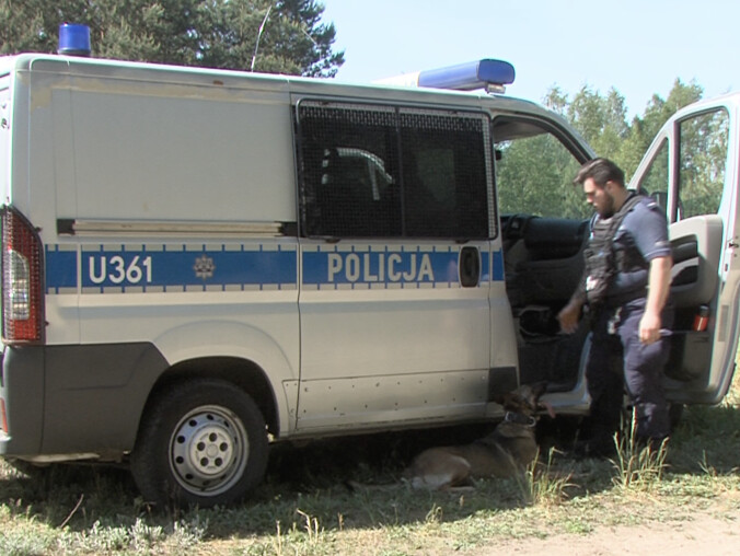 Razem się szkolą i razem służą. Policja szuka przewodników psów - grafika