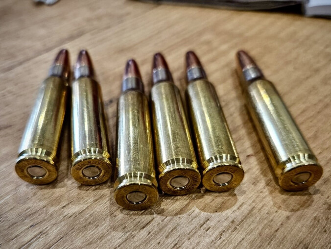 Polowali bez uprawnień i w okresie ochronnym. Grozi im 5 lat za kratk - grafika