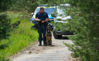 Węszą, patrolują, a kiedy trzeba – atakują