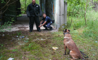 Węszą, patrolują, a kiedy trzeba – atakują