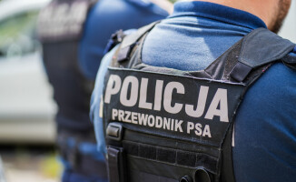 Węszą, patrolują, a kiedy trzeba – atakują