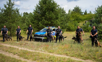 Węszą, patrolują, a kiedy trzeba – atakują
