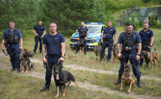 Węszą, patrolują, a kiedy trzeba – atakują