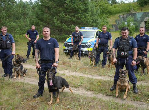 Węszą, patrolują, a kiedy trzeba – atakują - grafika
