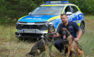 Węszą, patrolują, a kiedy trzeba – atakują