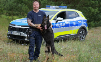 Węszą, patrolują, a kiedy trzeba – atakują