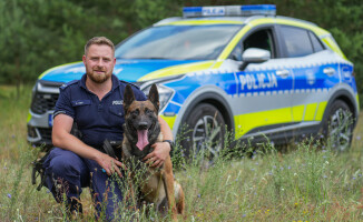 Węszą, patrolują, a kiedy trzeba – atakują