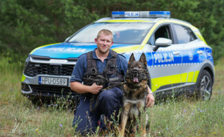 Węszą, patrolują, a kiedy trzeba – atakują