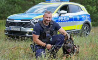 Węszą, patrolują, a kiedy trzeba – atakują